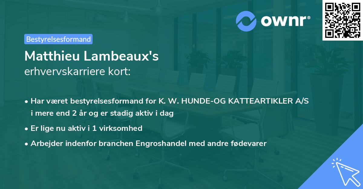 Matthieu Lambeaux's erhvervskarriere kort