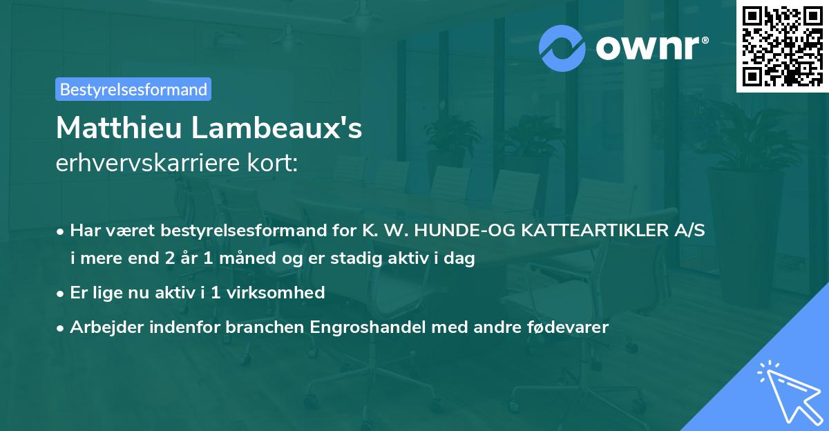 Matthieu Lambeaux's erhvervskarriere kort