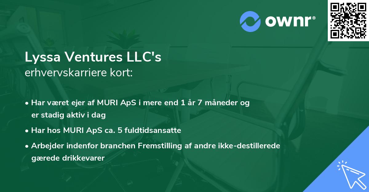 Lyssa Ventures LLC's erhvervskarriere kort