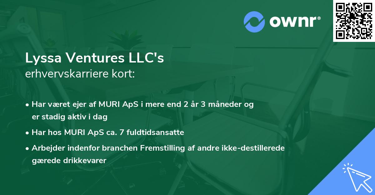 Lyssa Ventures LLC's erhvervskarriere kort