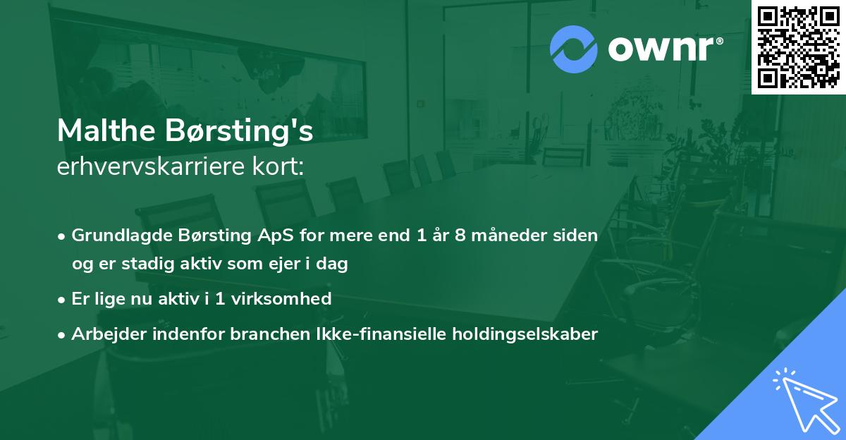 Malthe Børsting's erhvervskarriere kort