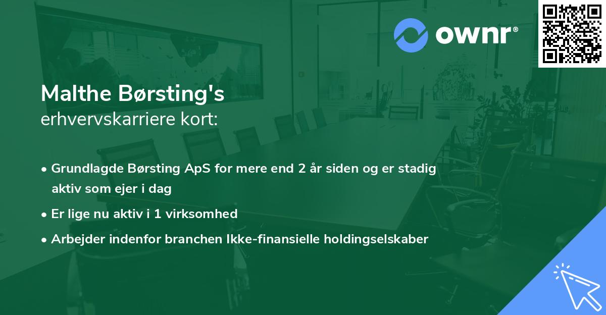 Malthe Børsting's erhvervskarriere kort