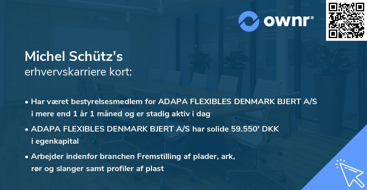 Michel Schütz's erhvervskarriere kort