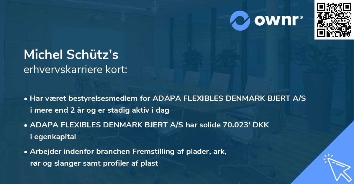 Michel Schütz's erhvervskarriere kort