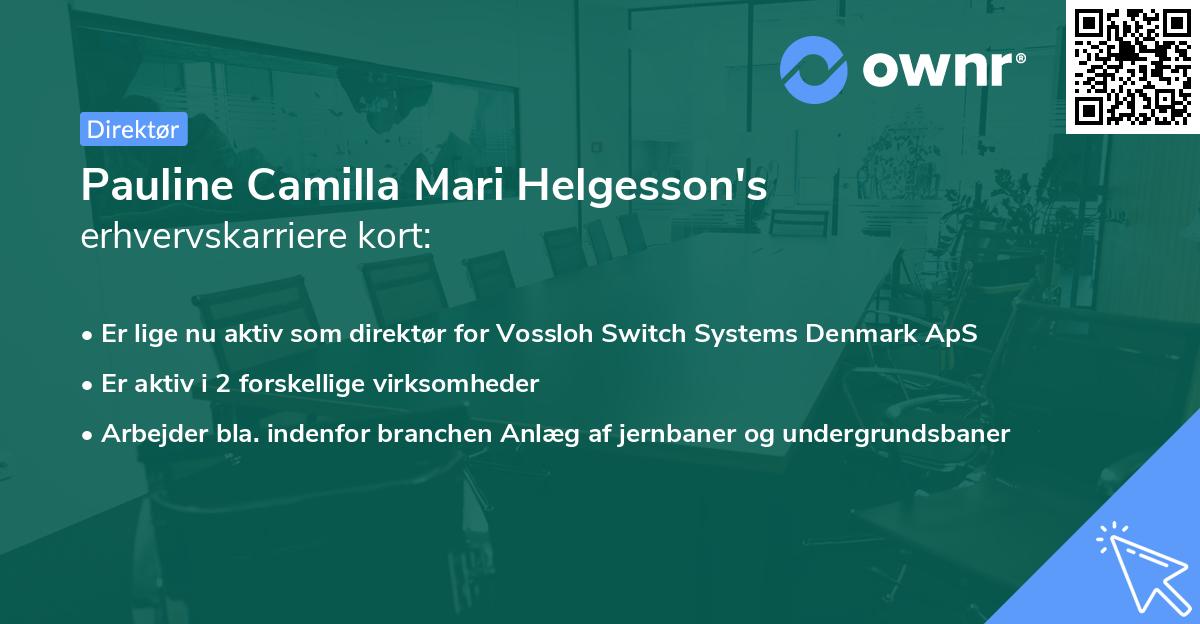 Pauline Camilla Mari Helgesson's erhvervskarriere kort