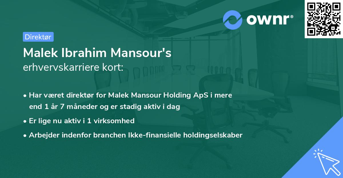 Malek Ibrahim Mansour's erhvervskarriere kort