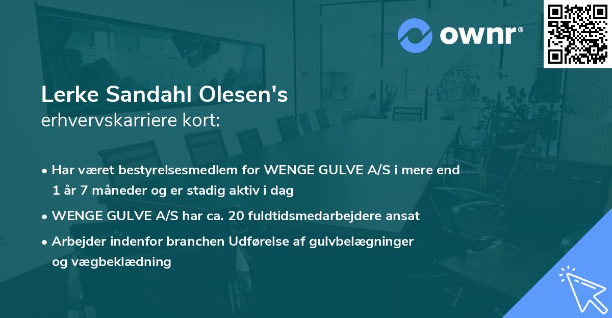 Lerke Sandahl Olesen's erhvervskarriere kort