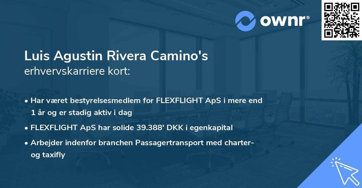 Luis Agustin Rivera Camino's erhvervskarriere kort