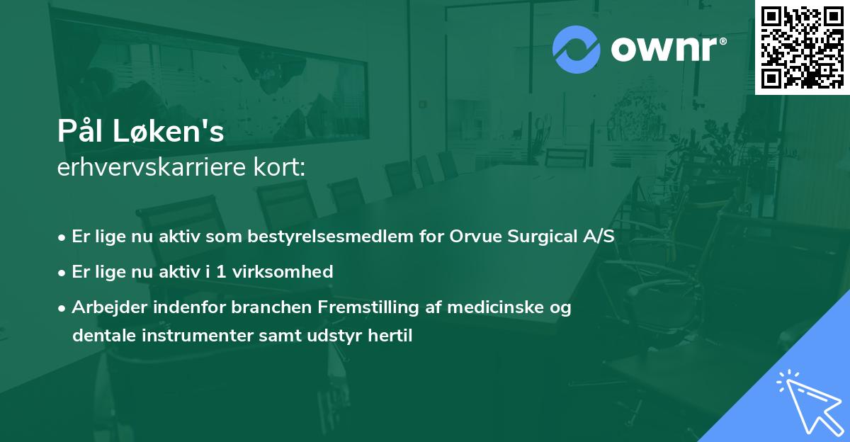 Pål Løken's erhvervskarriere kort