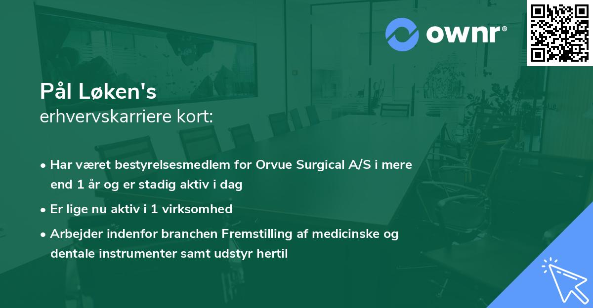 Pål Løken's erhvervskarriere kort