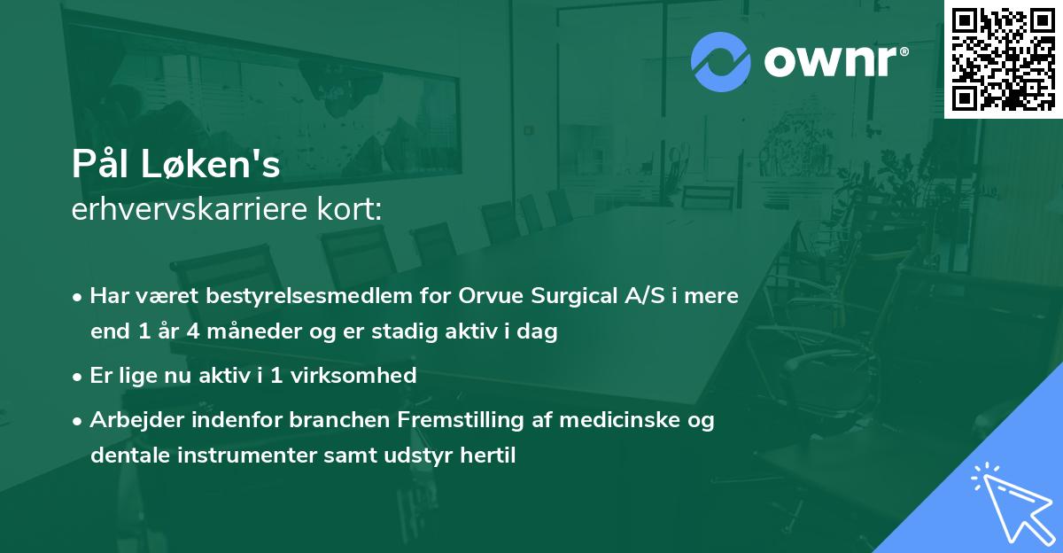 Pål Løken's erhvervskarriere kort