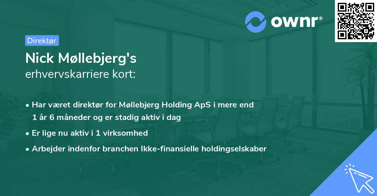 Nick Møllebjerg's erhvervskarriere kort
