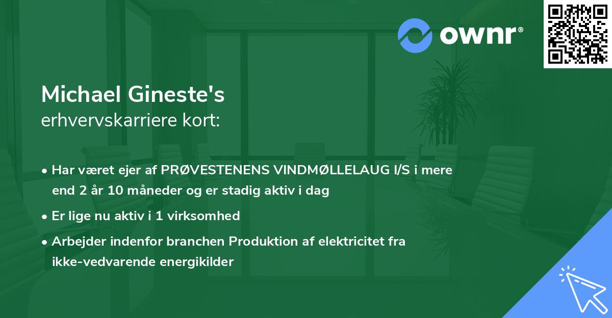 Michael Gineste's erhvervskarriere kort