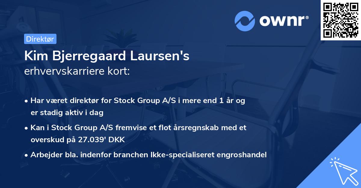 Kim Bjerregaard Laursen's erhvervskarriere kort
