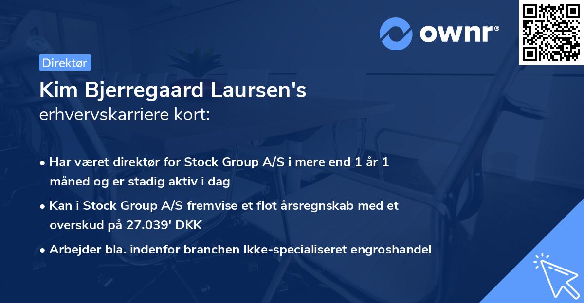 Kim Bjerregaard Laursen's erhvervskarriere kort