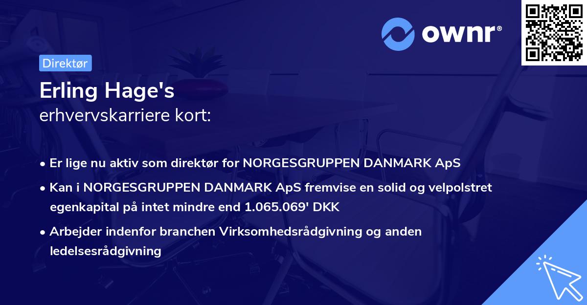 Erling Hage's erhvervskarriere kort