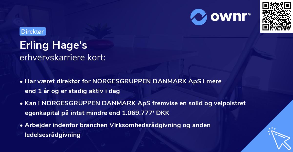 Erling Hage's erhvervskarriere kort