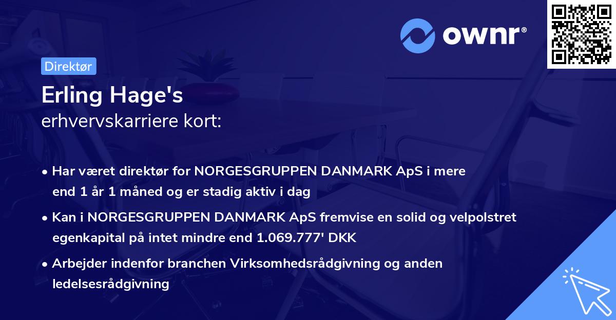 Erling Hage's erhvervskarriere kort