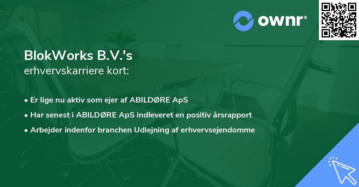 BlokWorks B.V.'s erhvervskarriere kort