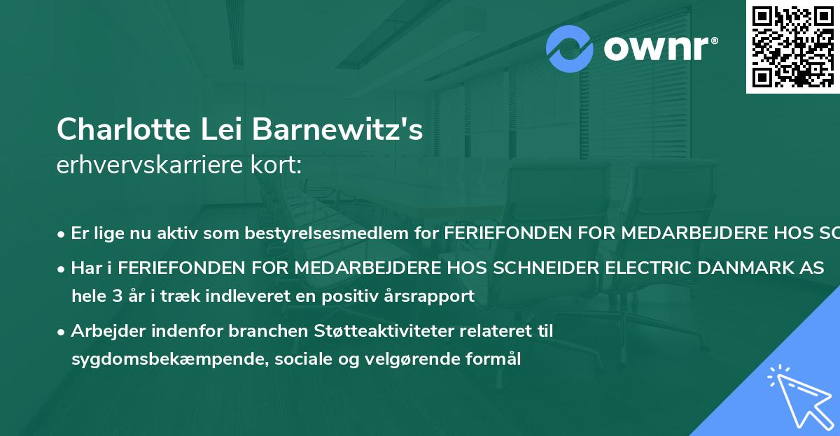 Charlotte Lei Barnewitz's erhvervskarriere kort