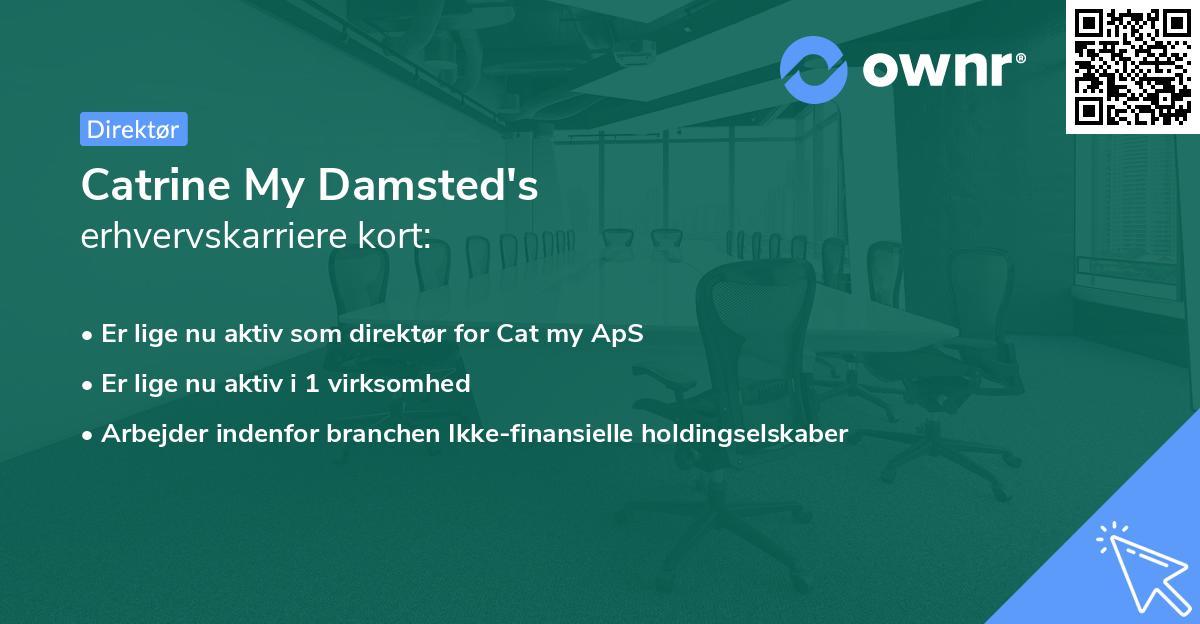 Catrine My Damsted's erhvervskarriere kort