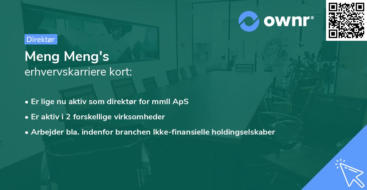 Meng Meng's erhvervskarriere kort