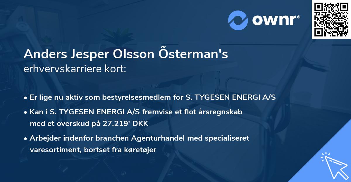 Anders Jesper Olsson Õsterman's erhvervskarriere kort