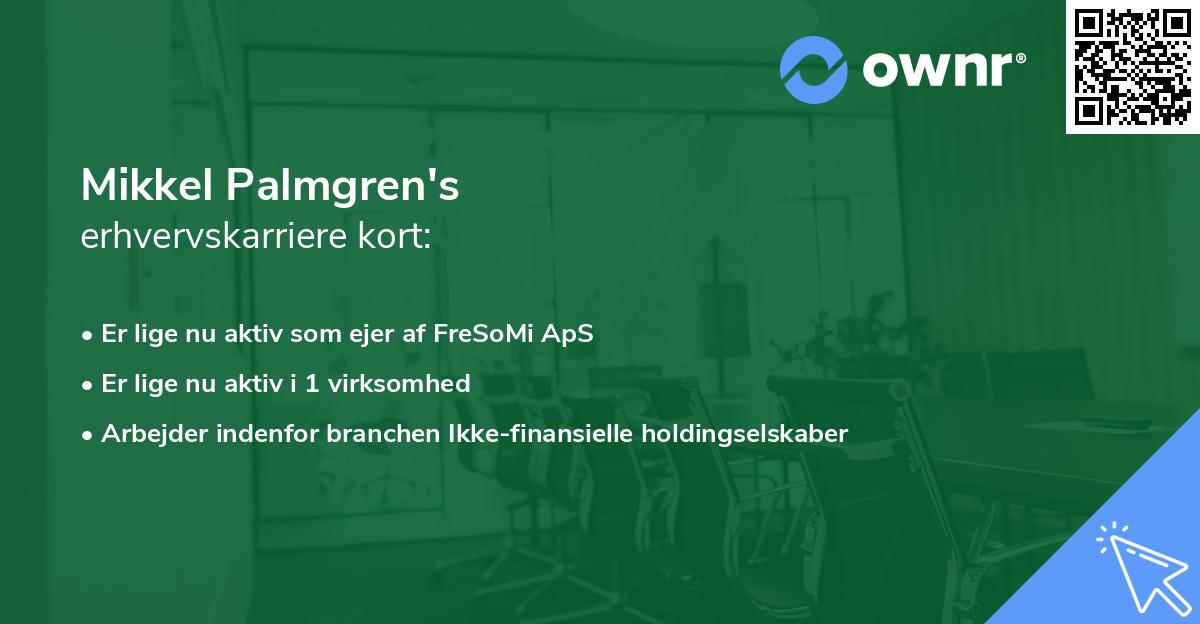 Mikkel Palmgren's erhvervskarriere kort
