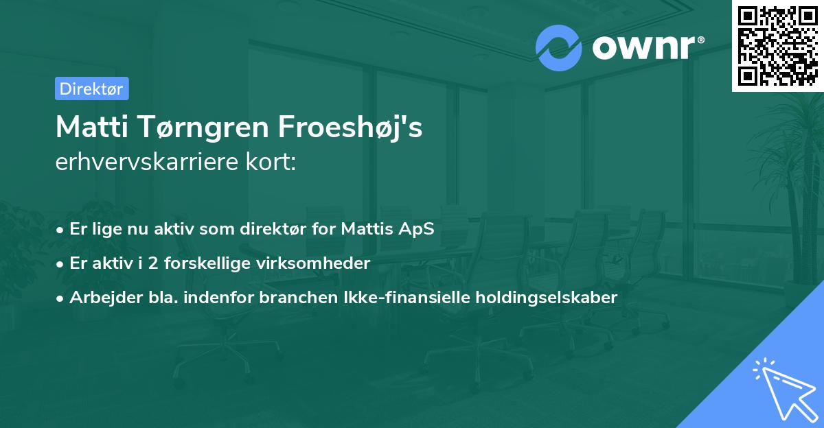 Matti Tørngren Froeshøj's erhvervskarriere kort