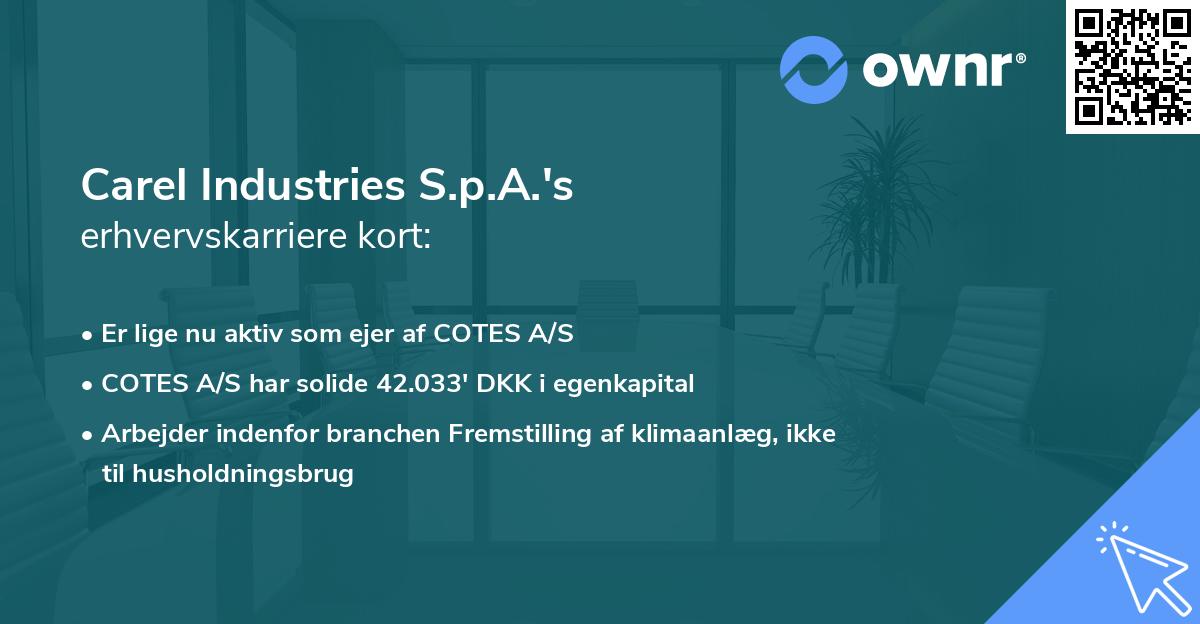 Carel Industries S.p.A.'s erhvervskarriere kort