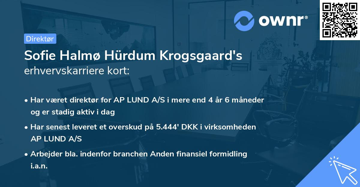 Sofie Halmø Hürdum Krogsgaard's erhvervskarriere kort