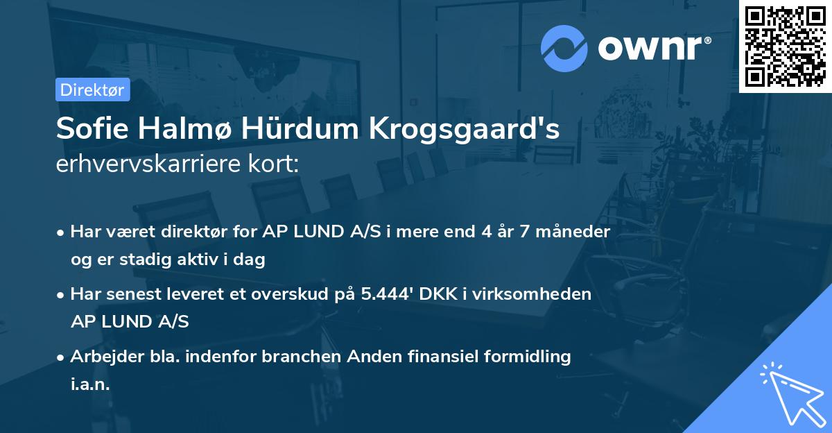 Sofie Halmø Hürdum Krogsgaard's erhvervskarriere kort