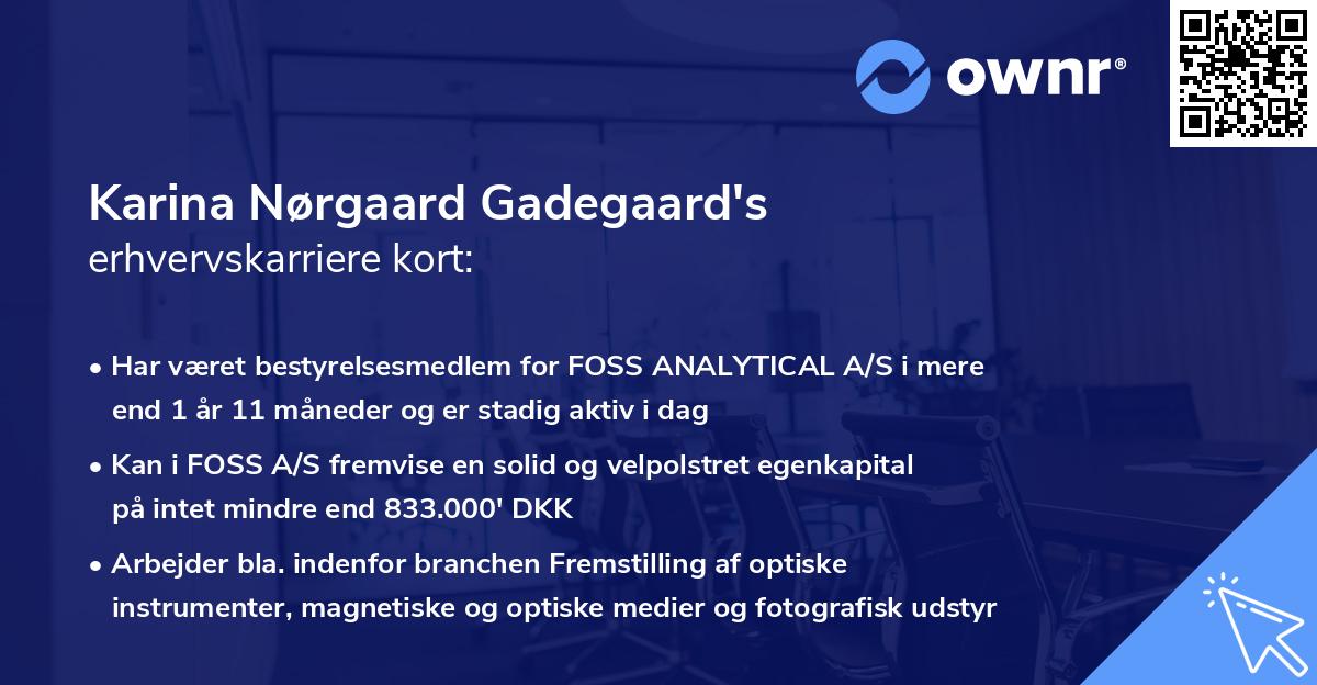 Karina Nørgaard Gadegaard's erhvervskarriere kort