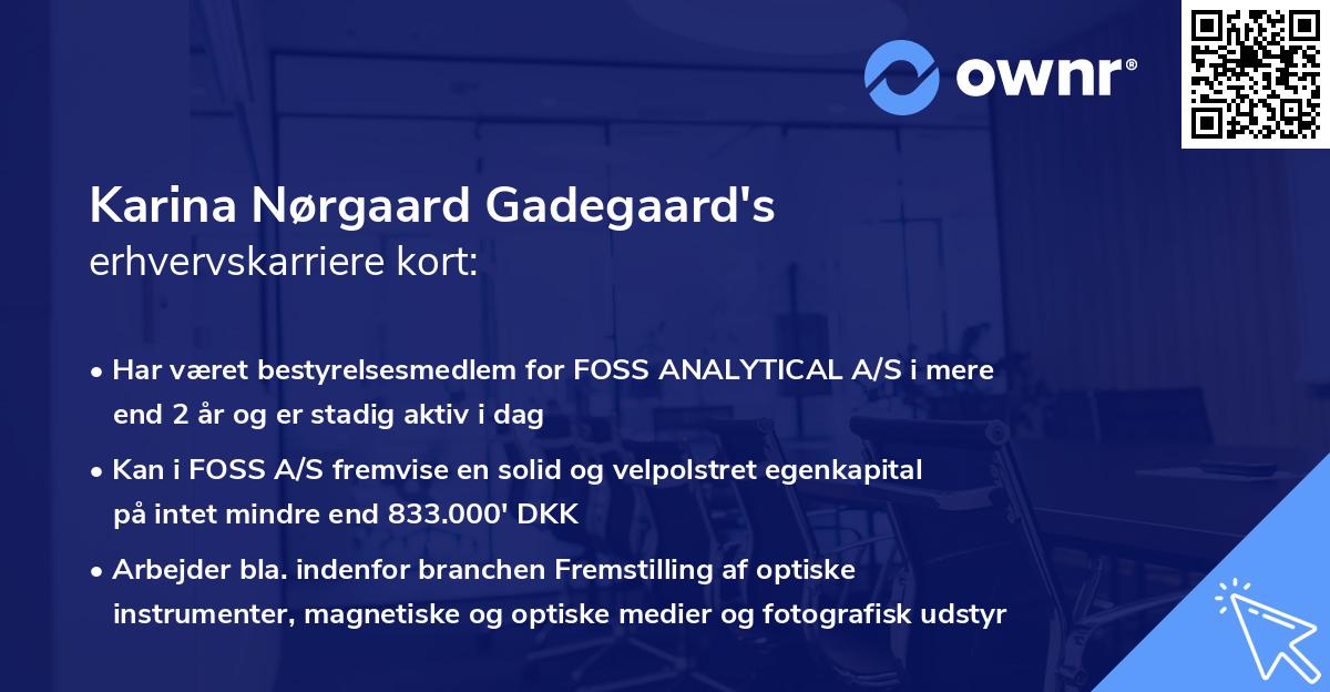 Karina Nørgaard Gadegaard's erhvervskarriere kort