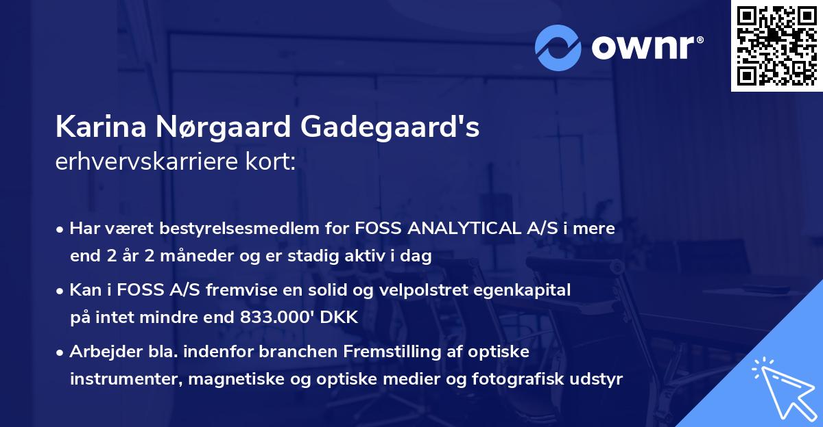 Karina Nørgaard Gadegaard's erhvervskarriere kort