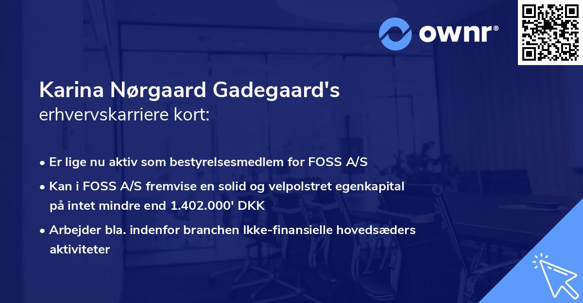 Karina Nørgaard Gadegaard's erhvervskarriere kort