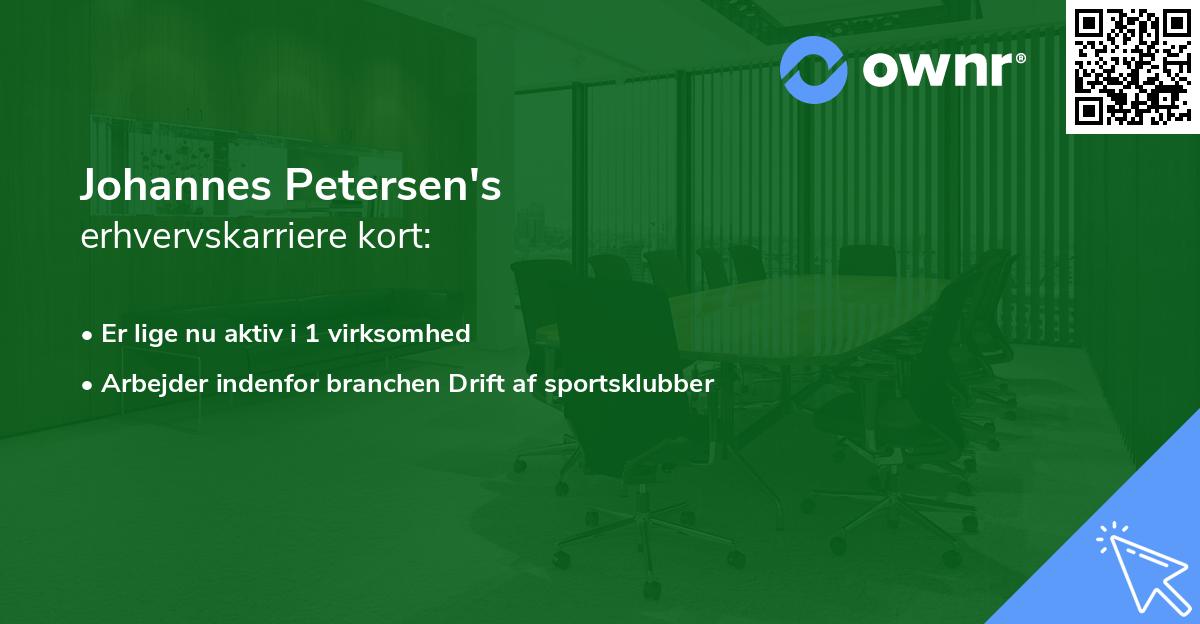 Johannes Petersen's erhvervskarriere kort