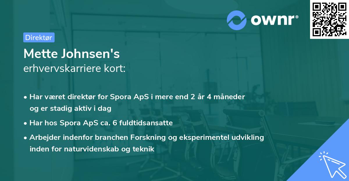 Mette Johnsen's erhvervskarriere kort