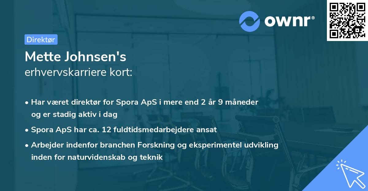 Mette Johnsen's erhvervskarriere kort