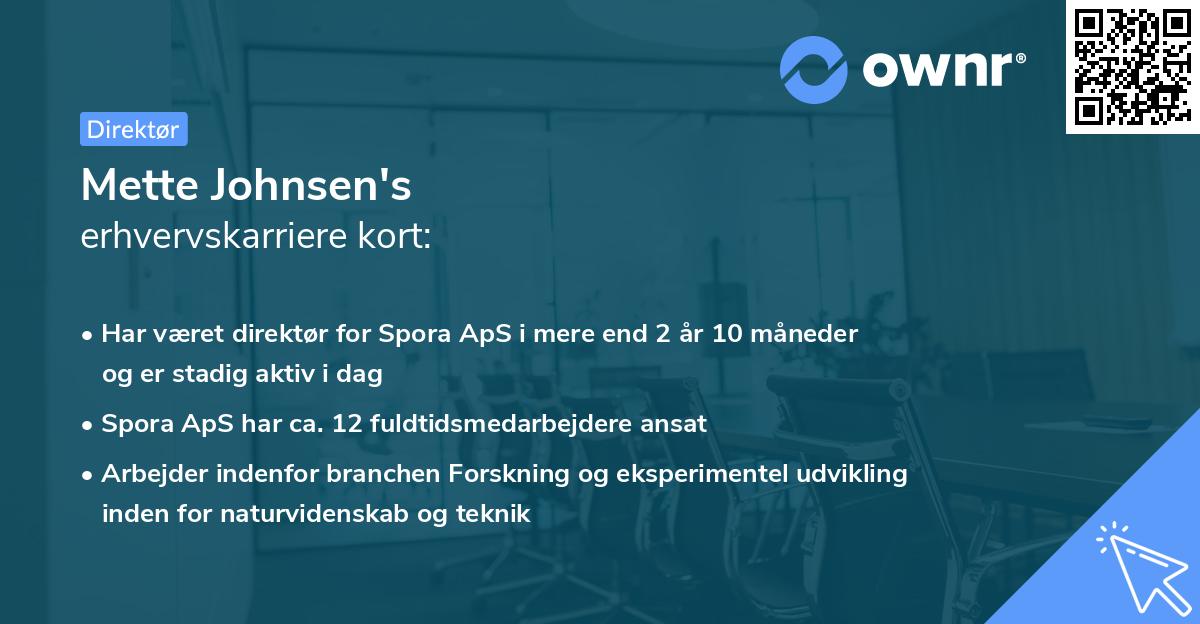 Mette Johnsen's erhvervskarriere kort