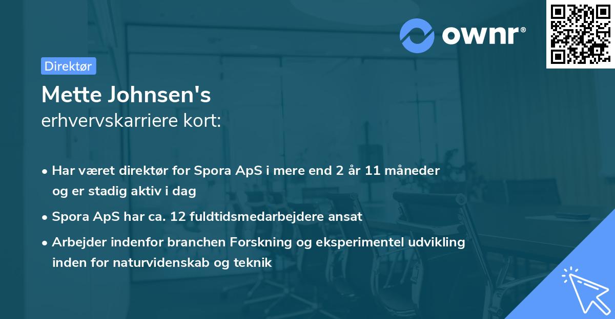 Mette Johnsen's erhvervskarriere kort