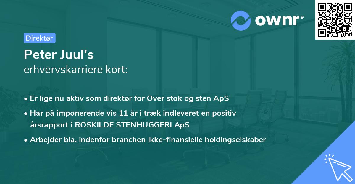 Peter Juul's erhvervskarriere kort