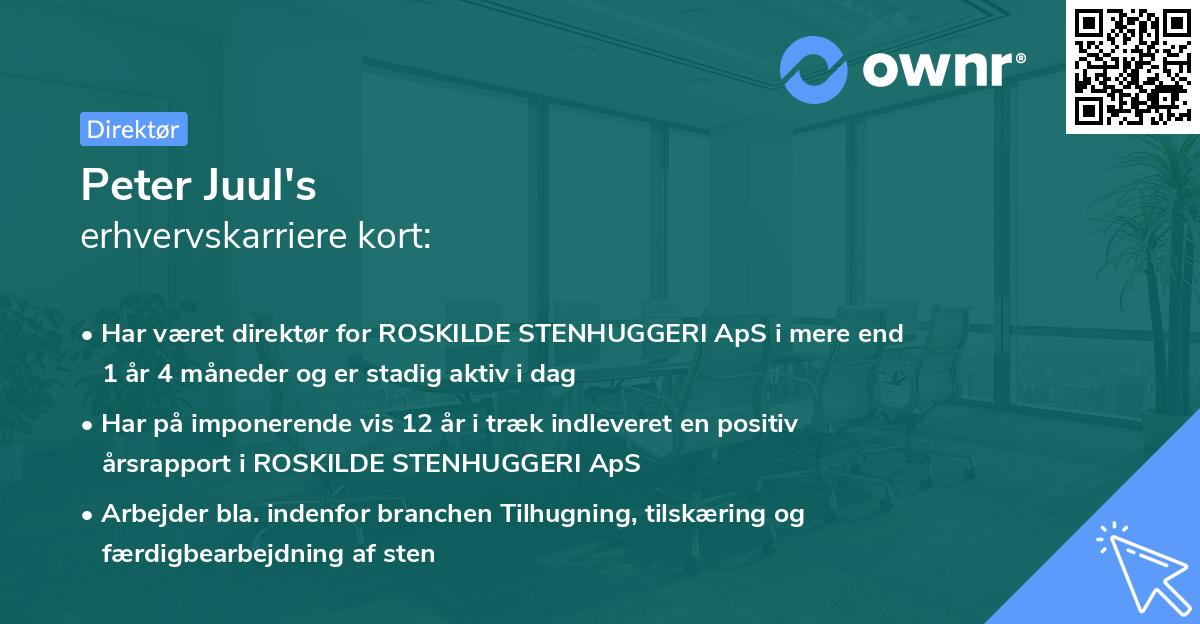Peter Juul's erhvervskarriere kort
