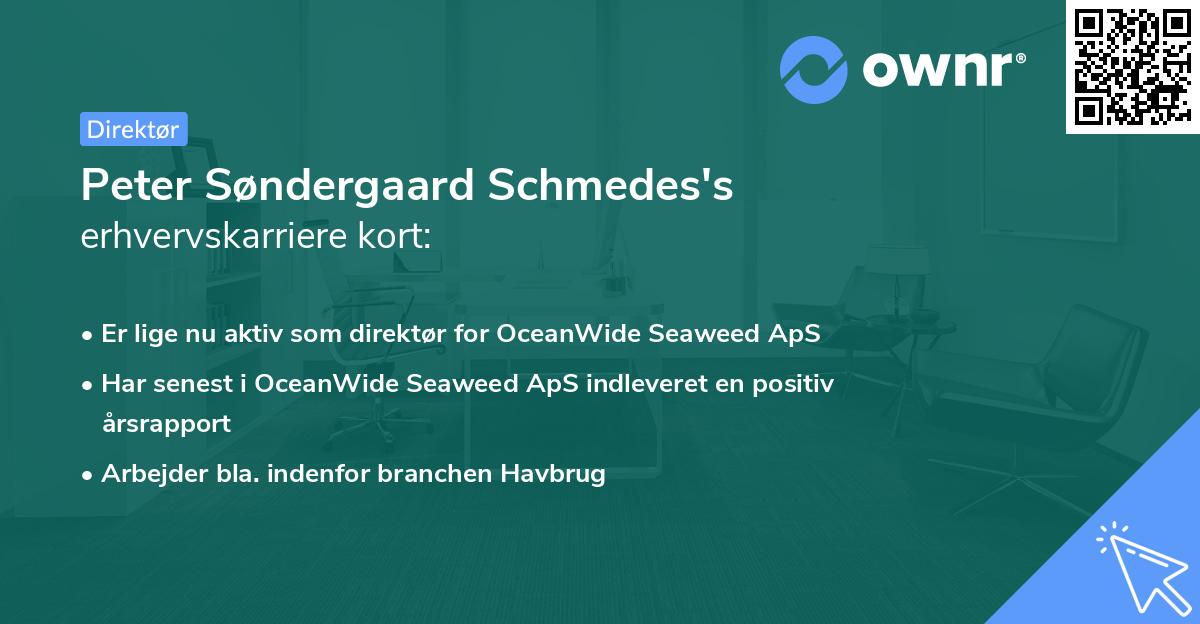 Peter Søndergaard Schmedes's erhvervskarriere kort