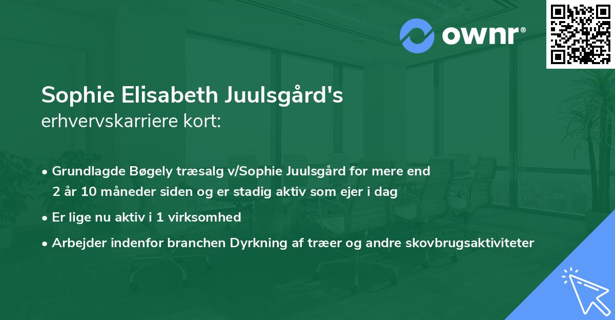 Sophie Elisabeth Juulsgård's erhvervskarriere kort