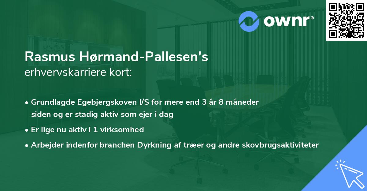 Rasmus Hørmand-Pallesen's erhvervskarriere kort