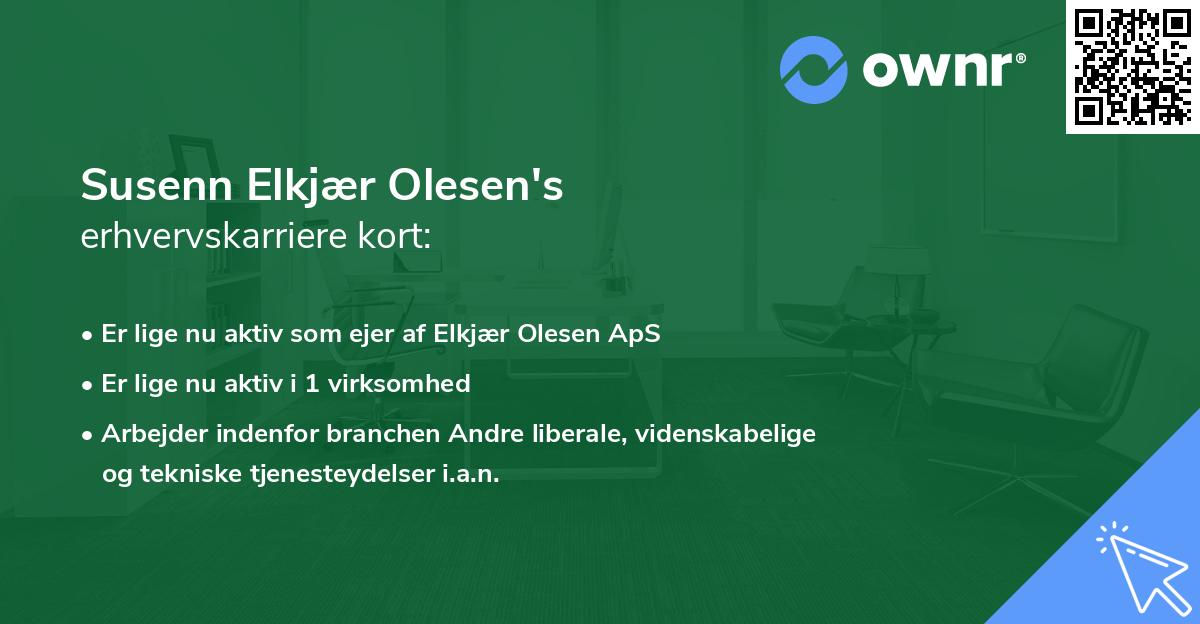 Susenn Elkjær Olesen's erhvervskarriere kort
