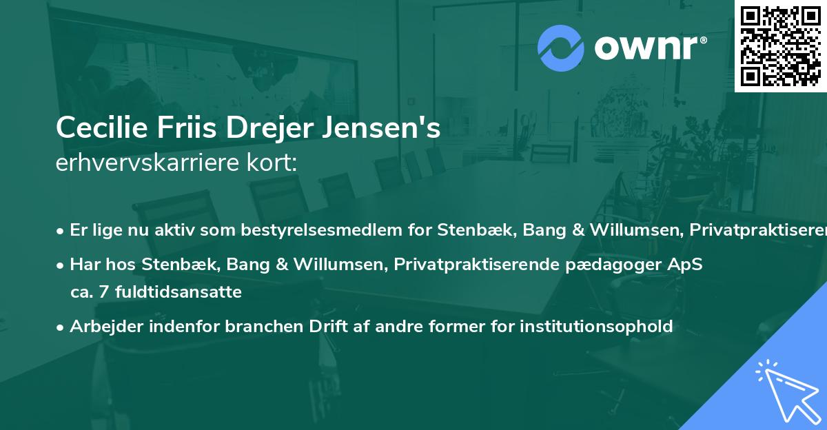 Cecilie Friis Drejer Jensen's erhvervskarriere kort
