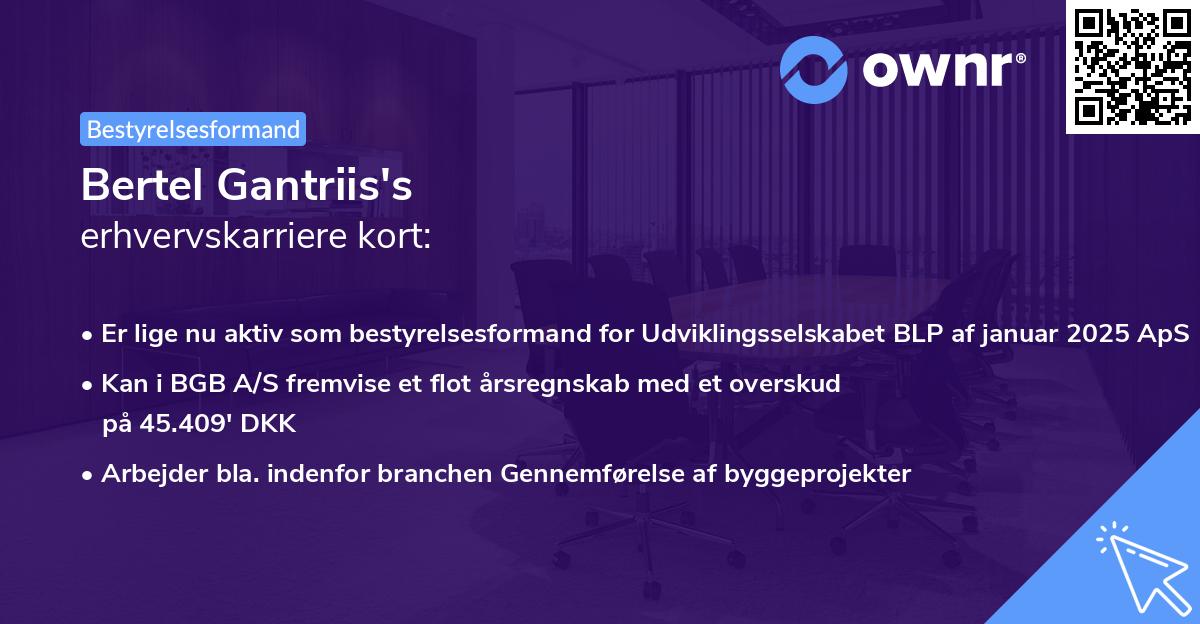 Bertel Gantriis's erhvervskarriere kort