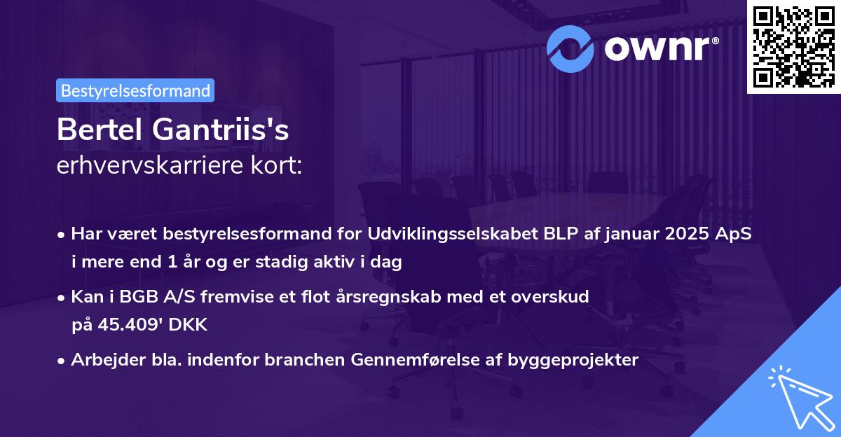 Bertel Gantriis's erhvervskarriere kort